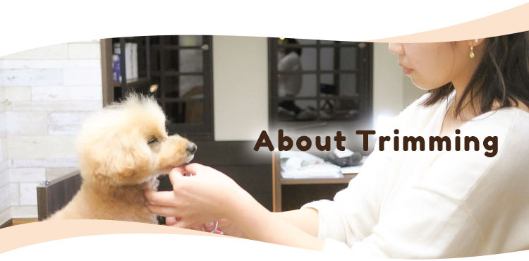 About Trimming